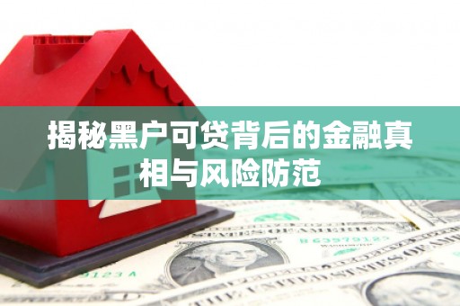 夏县揭秘黑户可贷背后的金融真相与风险防范