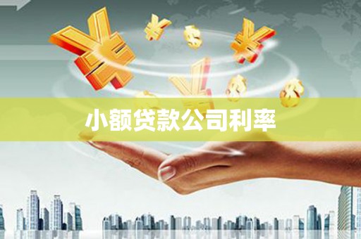 夏县小额贷款公司利率