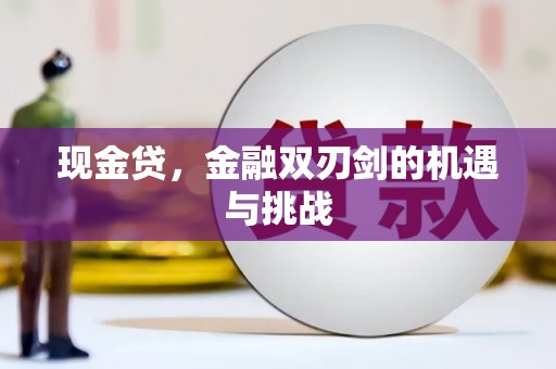 夏县现金贷，金融双刃剑的机遇与挑战