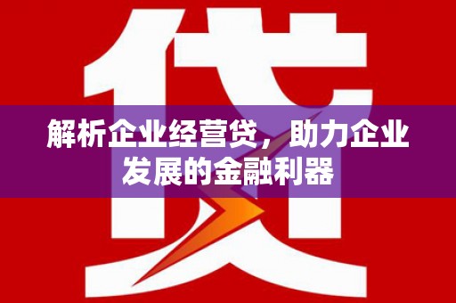 夏县解析企业经营贷，助力企业发展的金融利器