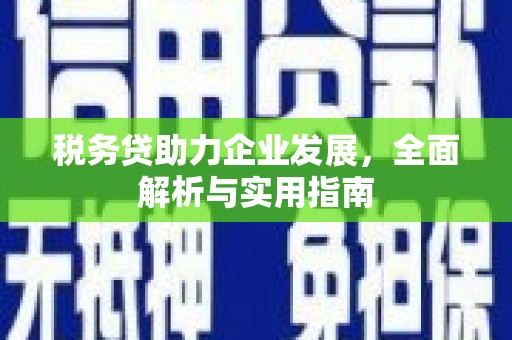 夏县税务贷助力企业发展，全面解析与实用指南