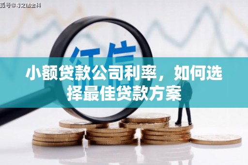 夏县小额贷款公司利率，如何选择最佳贷款方案