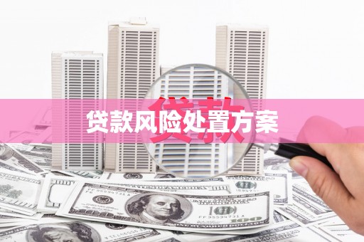 夏县贷款风险处置方案