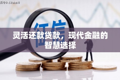 夏县灵活还款贷款，现代金融的智慧选择