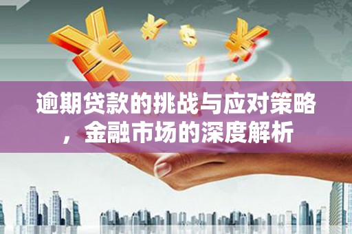 夏县逾期贷款的挑战与应对策略，金融市场的深度解析