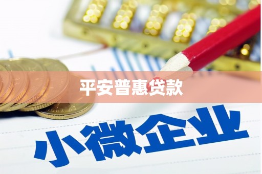 夏县平安普惠贷款