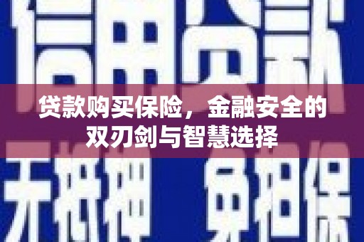 夏县贷款购买保险，金融安全的双刃剑与智慧选择