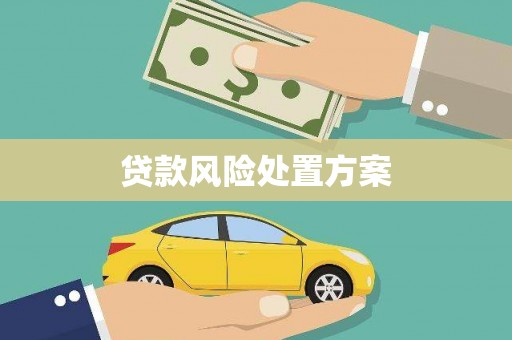 夏县贷款风险处置方案