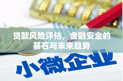夏县贷款风险评估，金融安全的基石与未来趋势
