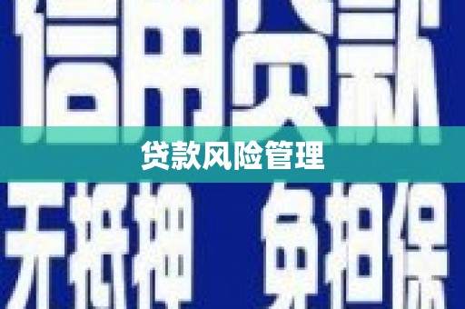 夏县贷款风险管理