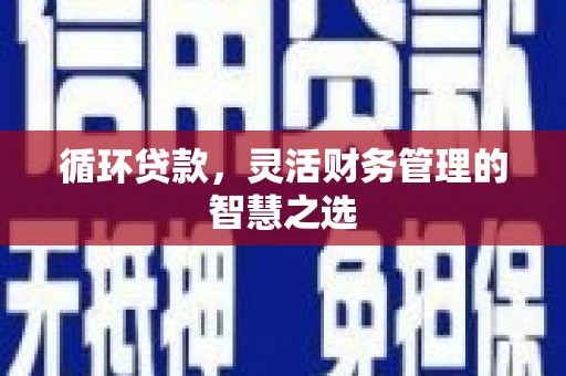 夏县循环贷款，灵活财务管理的智慧之选