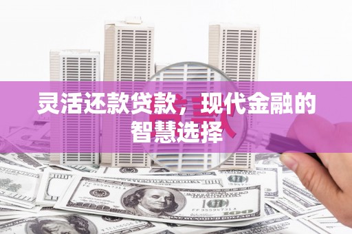 夏县灵活还款贷款，现代金融的智慧选择