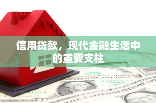 夏县信用贷款，现代金融生活中的重要支柱