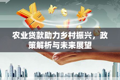 夏县农业贷款助力乡村振兴，政策解析与未来展望