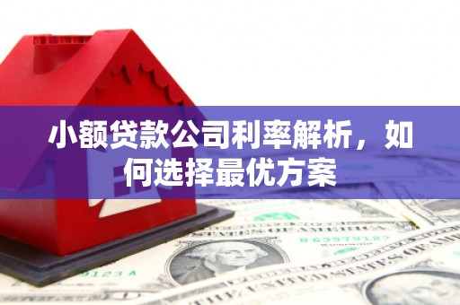 夏县小额贷款公司利率解析，如何选择最优方案