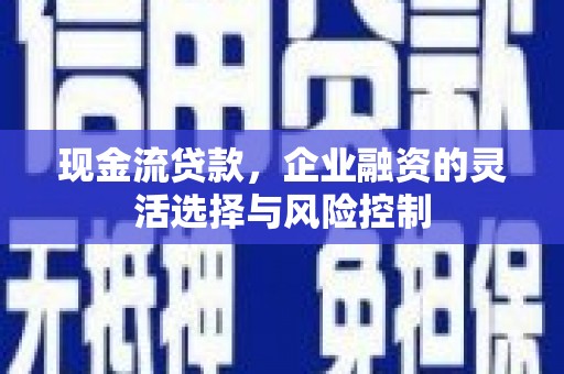夏县现金流贷款，企业融资的灵活选择与风险控制