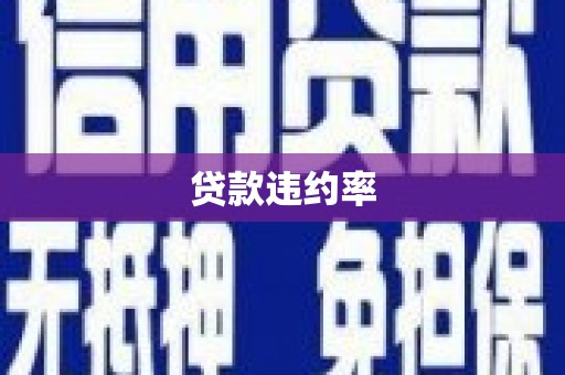 夏县贷款违约率