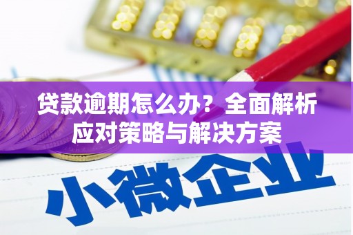 夏县贷款逾期怎么办？全面解析应对策略与解决方案