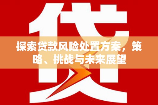 夏县探索贷款风险处置方案，策略、挑战与未来展望