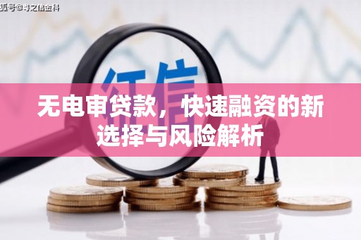 夏县无电审贷款，快速融资的新选择与风险解析