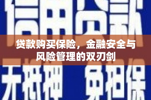 夏县贷款购买保险，金融安全与风险管理的双刃剑