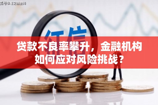夏县贷款不良率攀升，金融机构如何应对风险挑战？