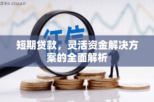 夏县短期贷款，灵活资金解决方案的全面解析