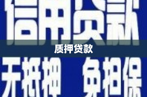 夏县质押贷款