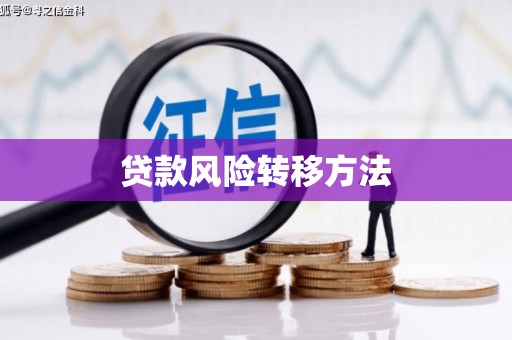 夏县贷款风险转移方法