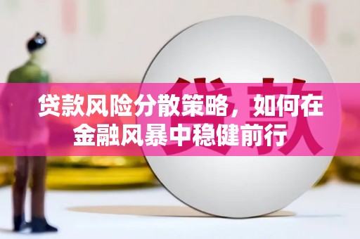 夏县贷款风险分散策略，如何在金融风暴中稳健前行