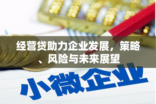 夏县经营贷助力企业发展，策略、风险与未来展望