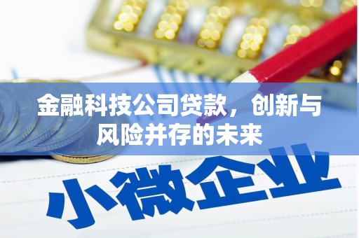夏县金融科技公司贷款，创新与风险并存的未来