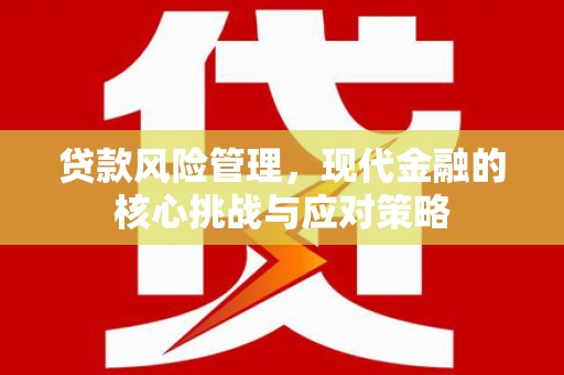 夏县贷款风险管理，现代金融的核心挑战与应对策略
