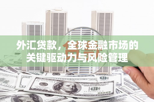 夏县外汇贷款，全球金融市场的关键驱动力与风险管理