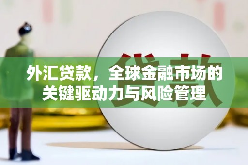 夏县外汇贷款，全球金融市场的关键驱动力与风险管理