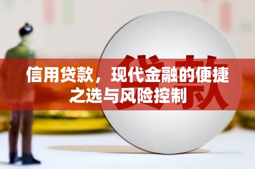 夏县信用贷款，现代金融的便捷之选与风险控制