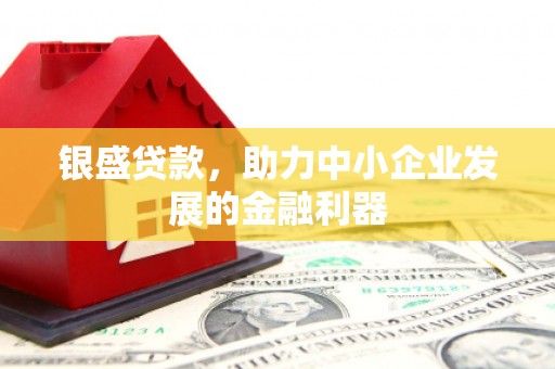 夏县银盛贷款，助力中小企业发展的金融利器