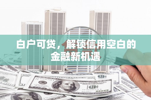 夏县白户可贷，解锁信用空白的金融新机遇