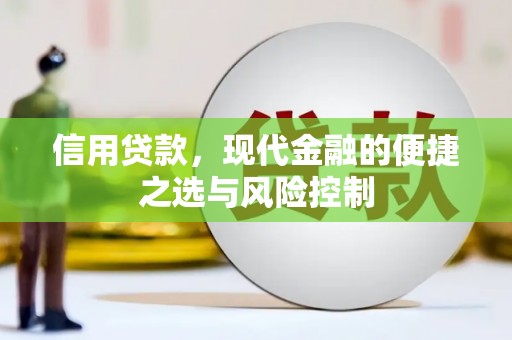 夏县信用贷款，现代金融的便捷之选与风险控制