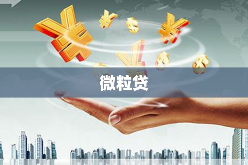 夏县微粒贷