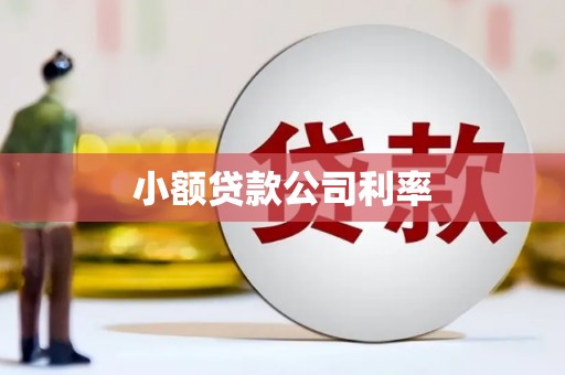 夏县小额贷款公司利率