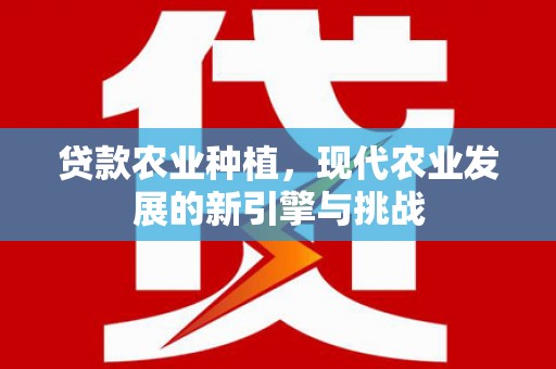 夏县贷款农业种植，现代农业发展的新引擎与挑战
