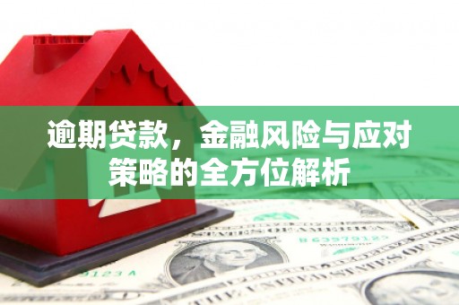 夏县逾期贷款，金融风险与应对策略的全方位解析