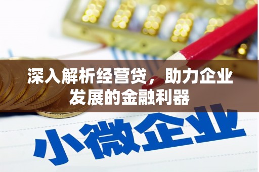 夏县深入解析经营贷，助力企业发展的金融利器