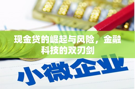 夏县现金贷的崛起与风险，金融科技的双刃剑