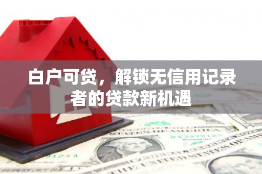 夏县白户可贷，解锁无信用记录者的贷款新机遇