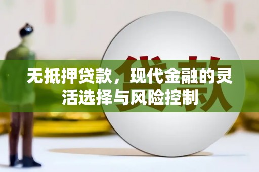 夏县无抵押贷款，现代金融的灵活选择与风险控制