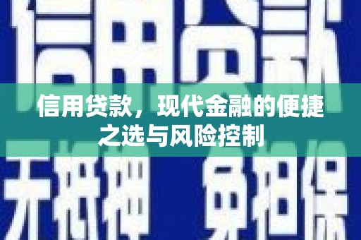 夏县信用贷款，现代金融的便捷之选与风险控制