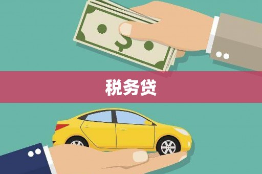 夏县税务贷