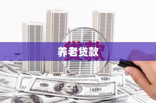 夏县养老贷款